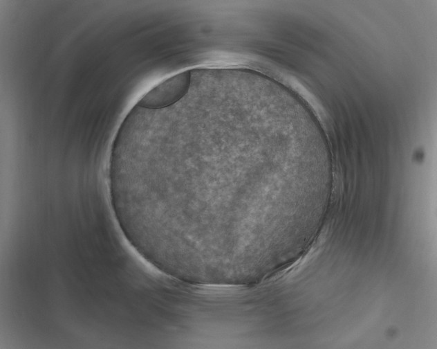 X0000116791487201001081303