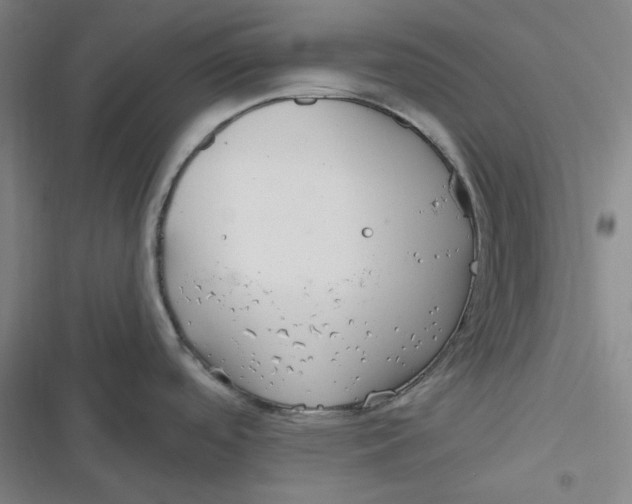 X0000116791488201001081303