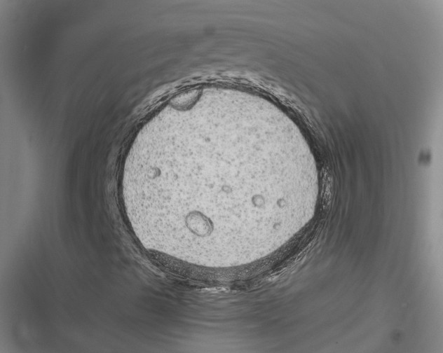 X0000116791489201001081302