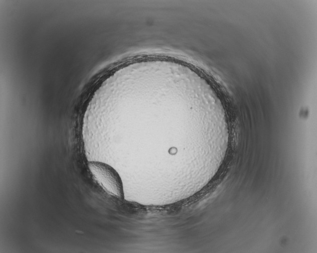 X0000116791494201001081302