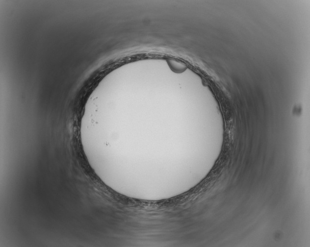 X0000116791495201001081302