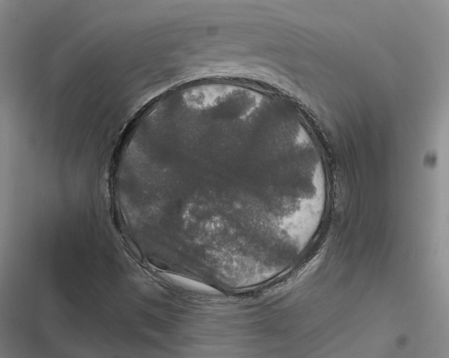 X0000116791497201001081302