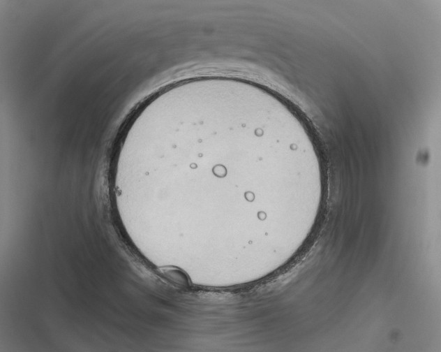 X0000116791498201001081302