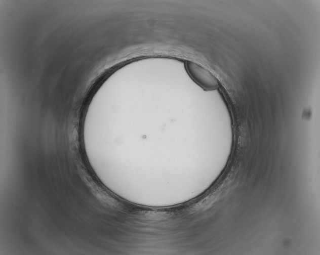 X0000116791499201001081302