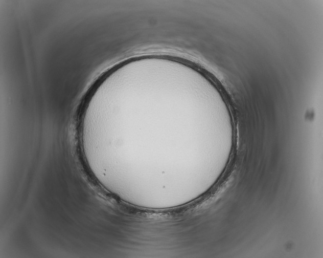 X0000116791501201001081302