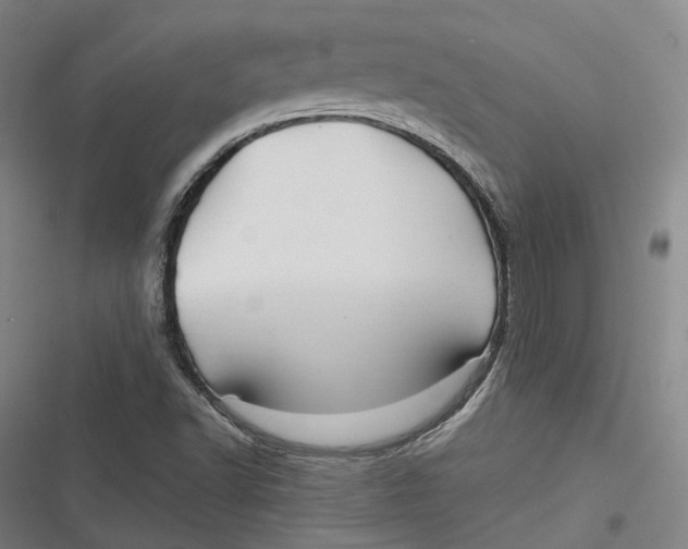 X0000116791502201001081302