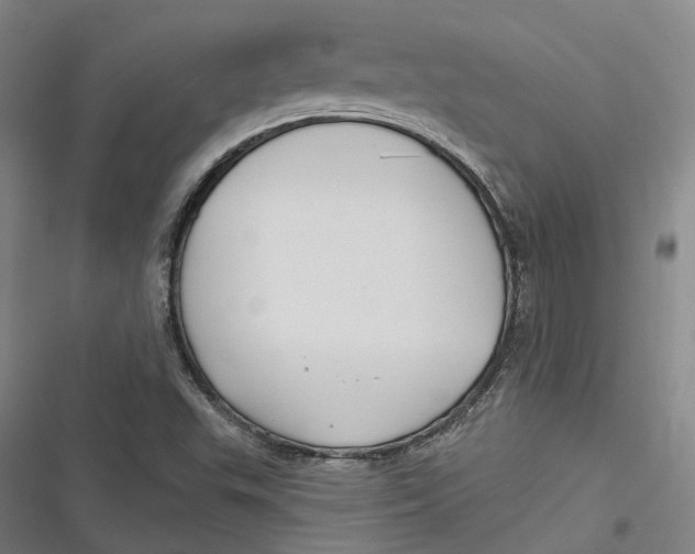 X0000116791503201001081302