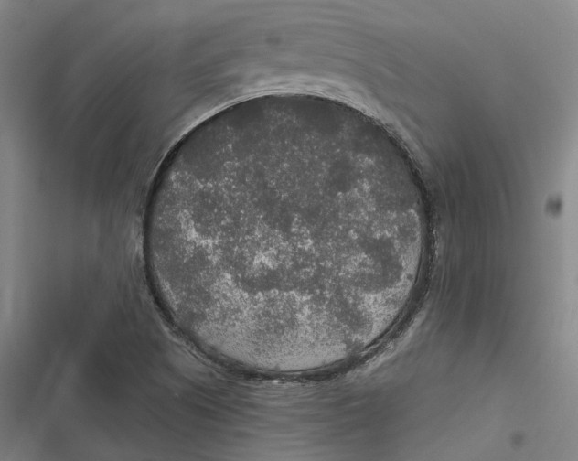 X0000116791505201001081302