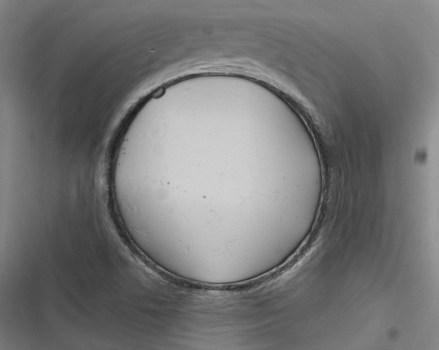 X0000116791506201001081302