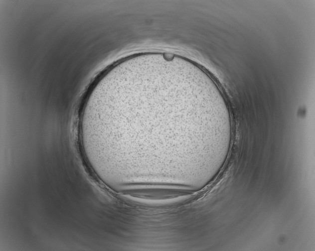 X0000116791507201001081302