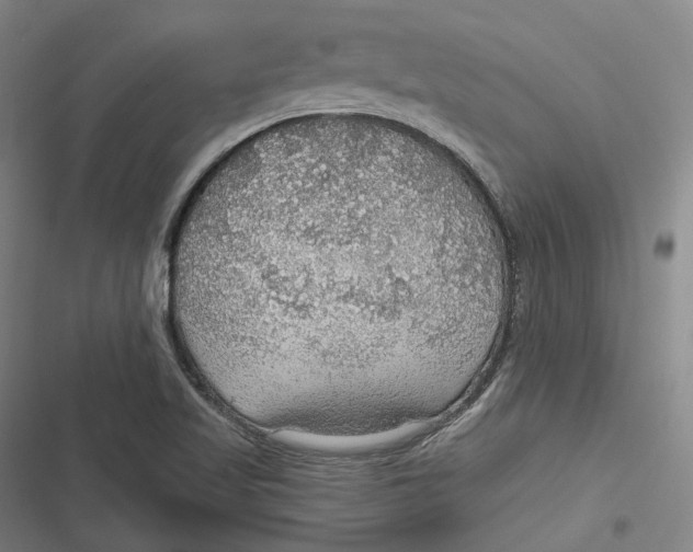 X0000116791509201001081302