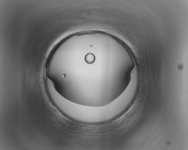 X0000116791510201001081302