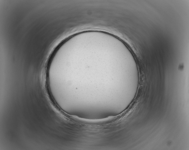 X0000116791511201001081303