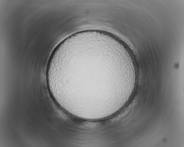 X0000116791513201001081303