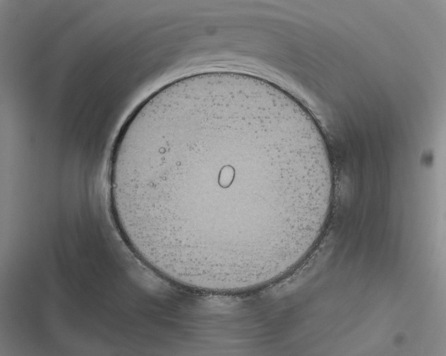 X0000116791514201001081303