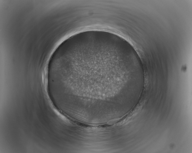 X0000116791515201001081303