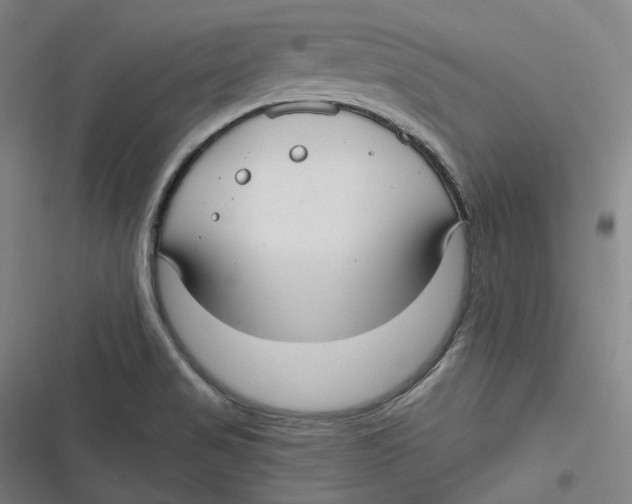 X0000116791517201001081303