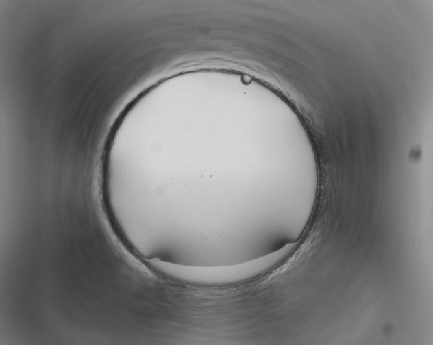 X0000116791518201001081303