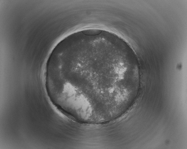 X0000116791519201001081303