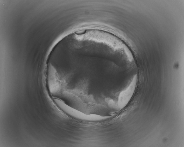 X0000116791522201001081303