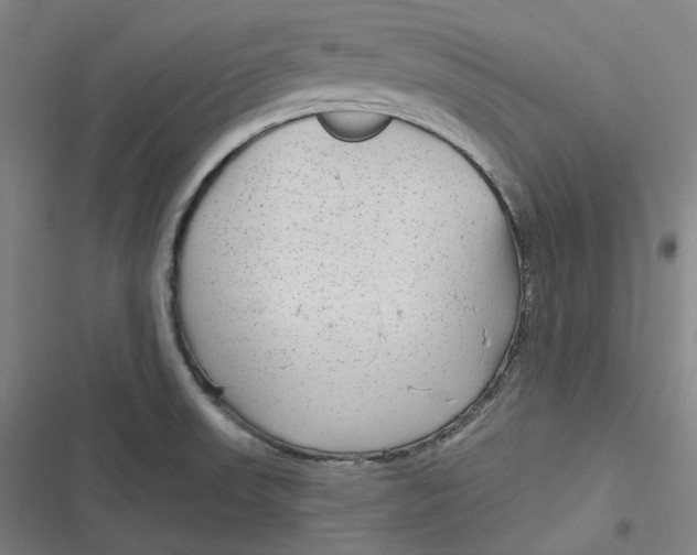 X0000116791523201001081303