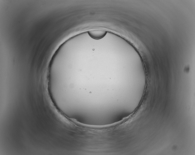 X0000116791526201001081303