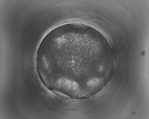 X0000116791527201001081303