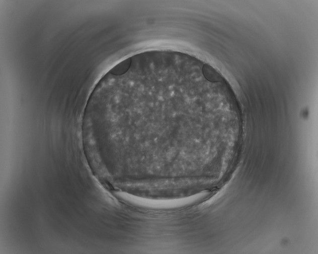 X0000116791529201001081303