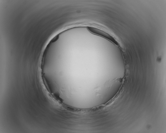 X0000116791530201001081303