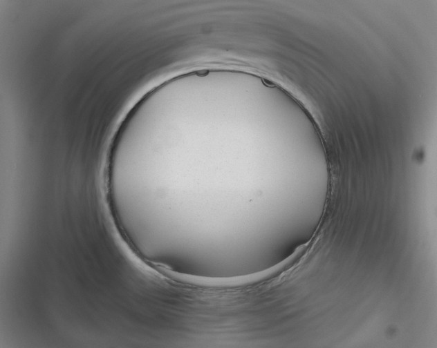 X0000116791531201001081303