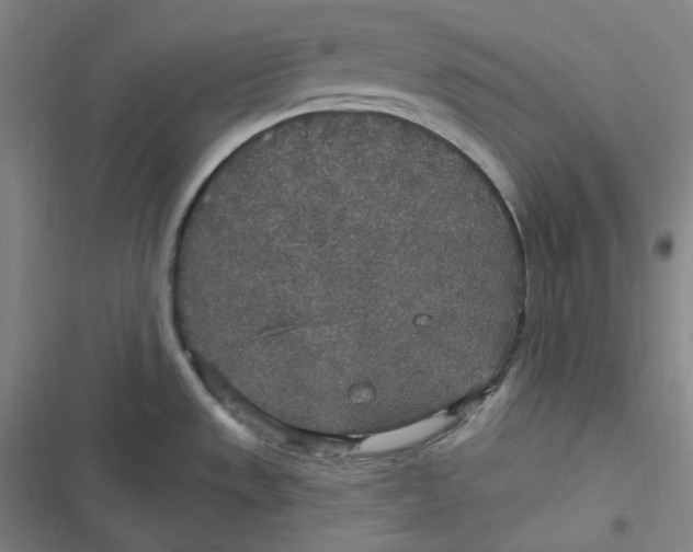 X0000116791533201001081303