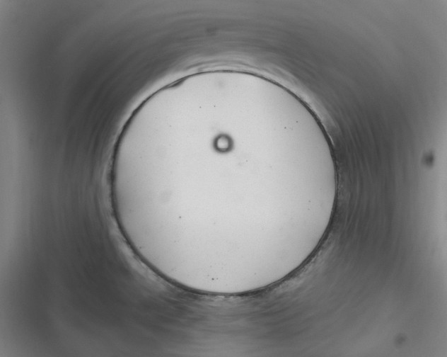 X0000116791534201001081303