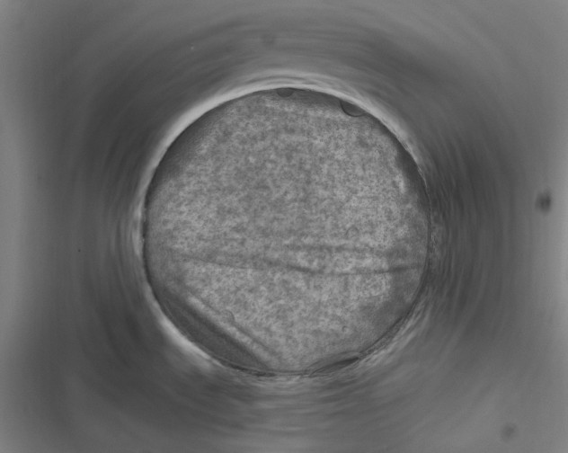 X0000116791535201001081303