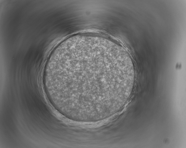 X0000116790001201001151111