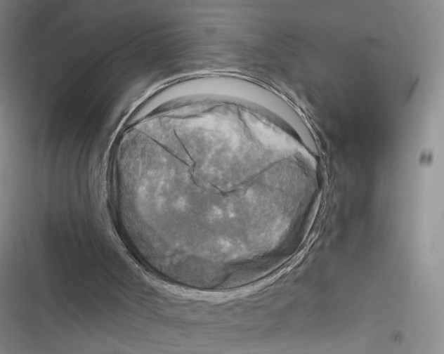 X0000116790002201001151111