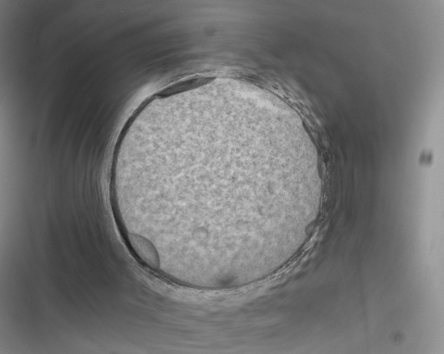 X0000116790003201001151111
