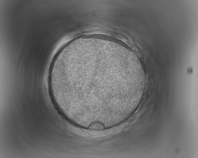 X0000116790006201001151111