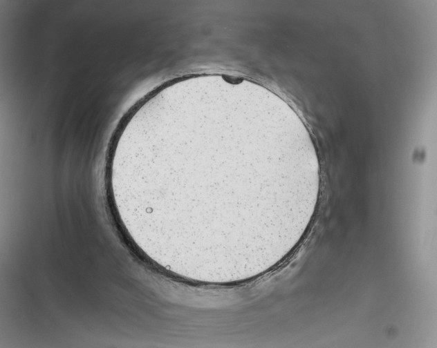 X0000116790008201001151111