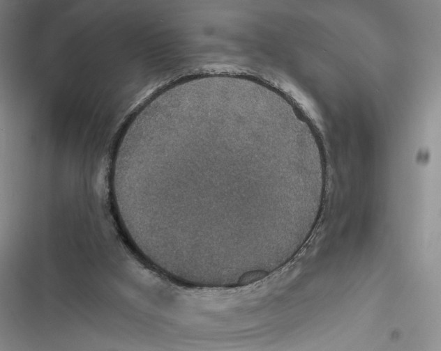 X0000116790009201001151111