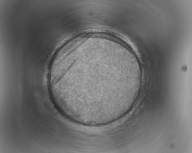 X0000116790010201001151111