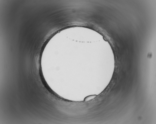 X0000116790011201001151111