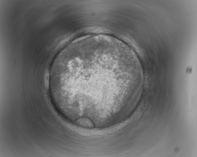 X0000116790014201001151111