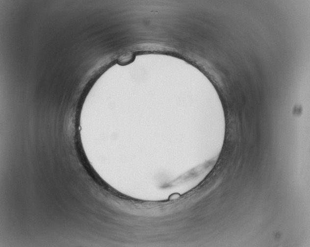 X0000116790015201001151111