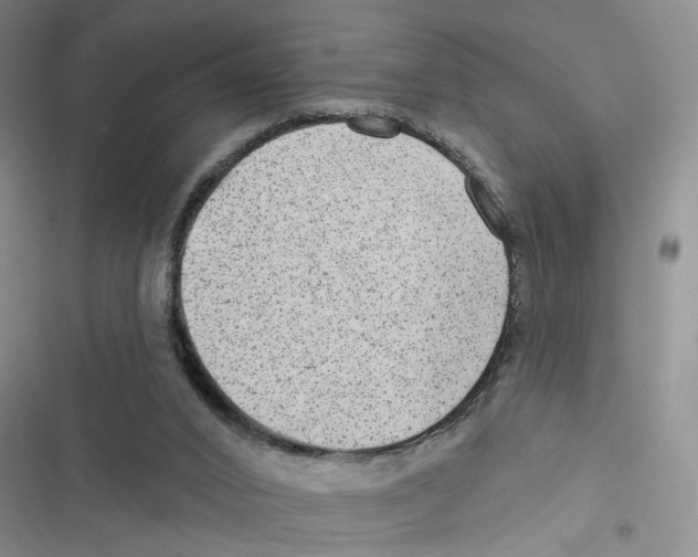 X0000116790016201001151111
