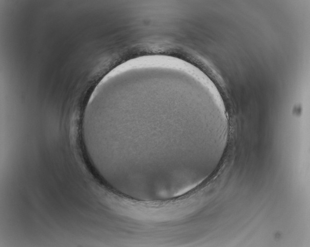 X0000116790018201001151111