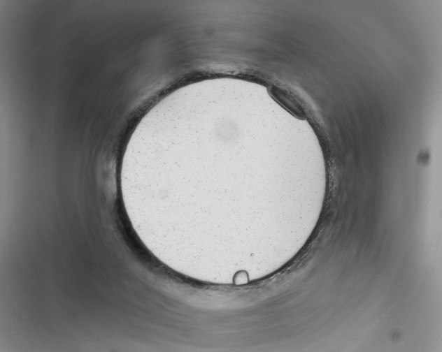 X0000116790020201001151111