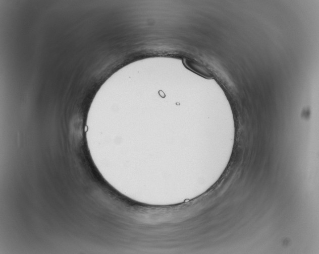 X0000116790021201001151111