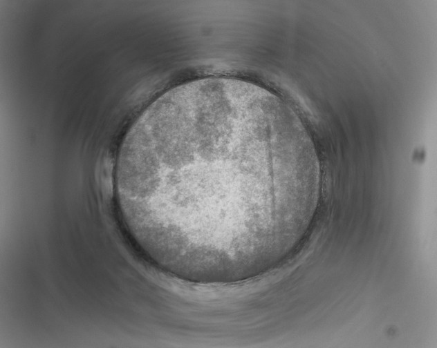 X0000116790022201001151111
