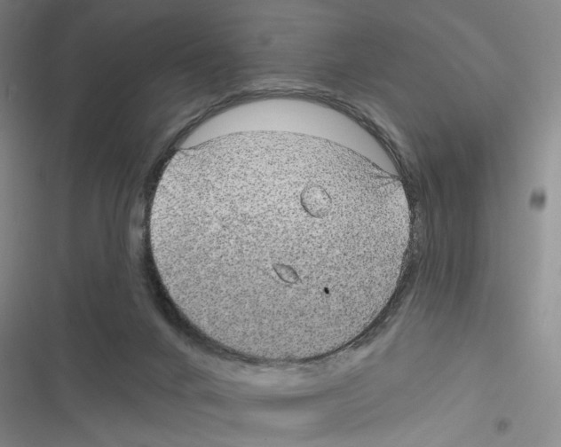X0000116790024201001151111