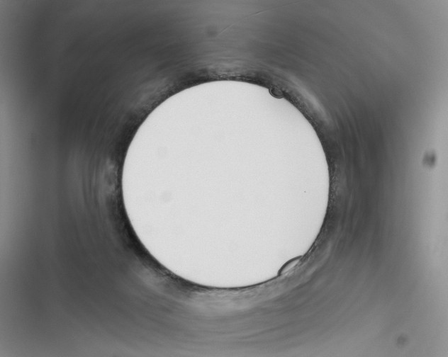 X0000116790025201001151111